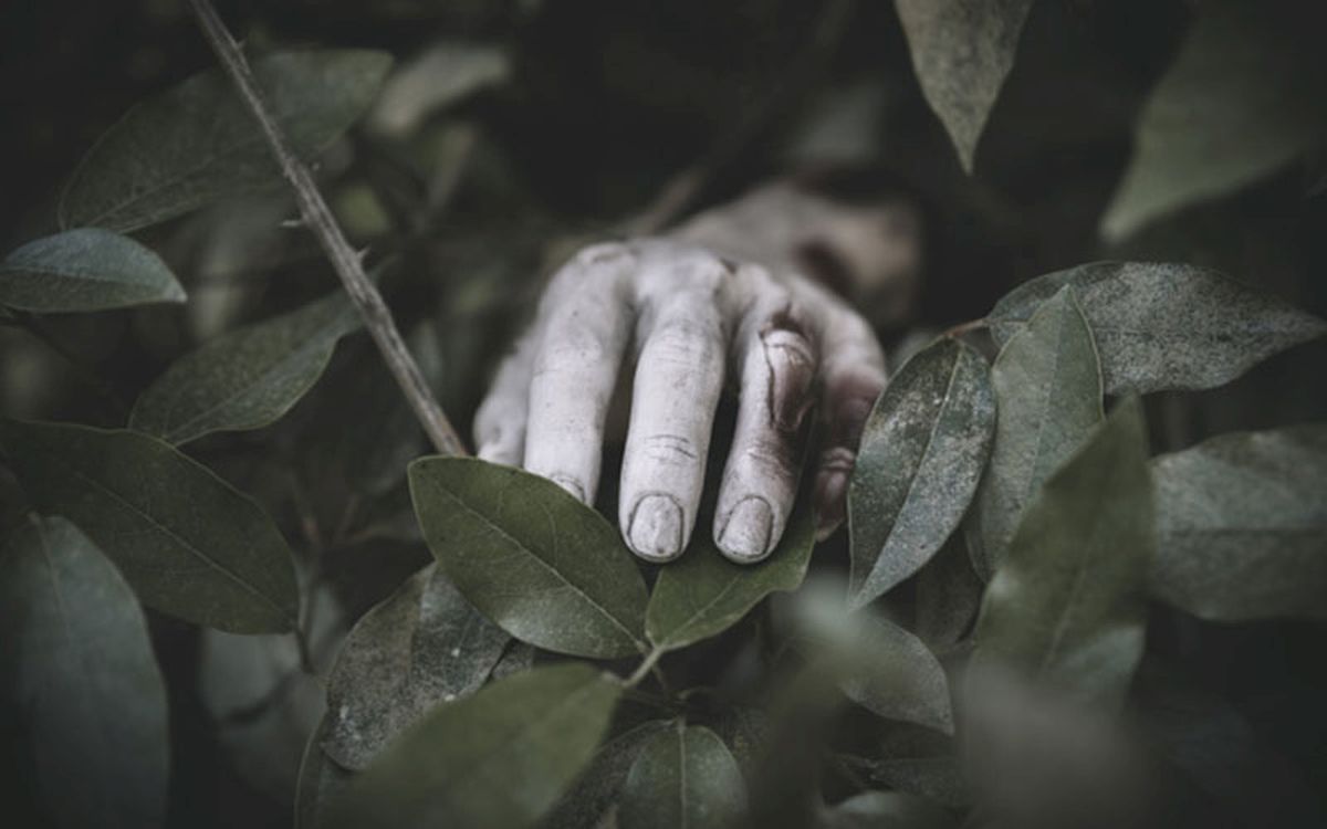 Suami Bunuh Istri di Ponorogo, Jasad Dibuang di Hutan Jati