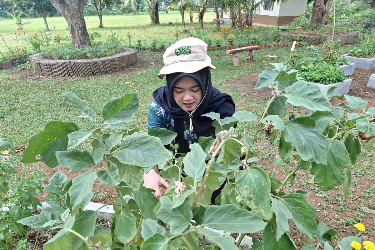 Rayakan Hari Pangan Sedunia 2025 Sambil Mengurangi Limbah Makanan. | carnoky.com Rayakan Hari Pangan Sedunia 2025 Sambil Mengurangi Limbah Makanan.