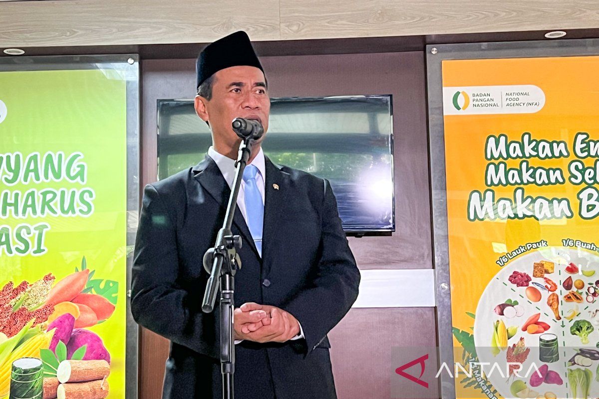 Amran Sulaiman, Kepala Badan Pangan Nasional, Punya Kekayaan Besar