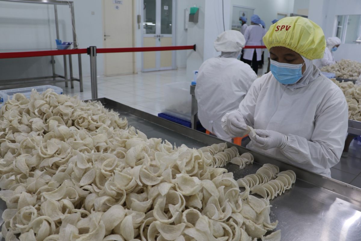 Sarang Burung Walet Jadi Komoditas Unggulan Indonesia.